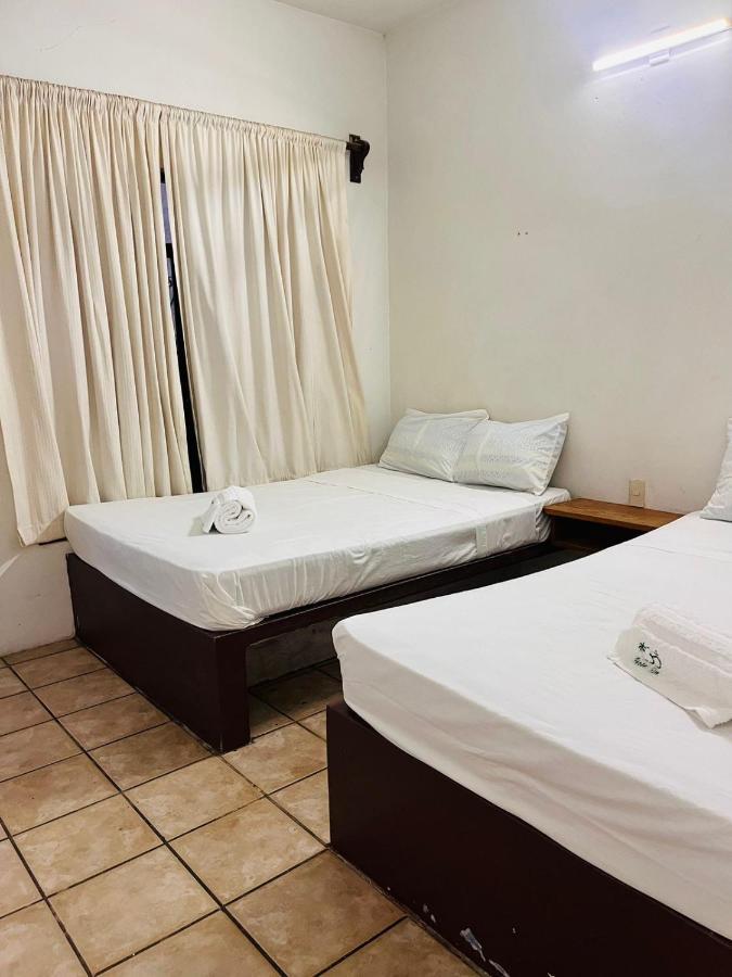 Hotel Om Downtown 산타크루즈휴에튤코 외부 사진