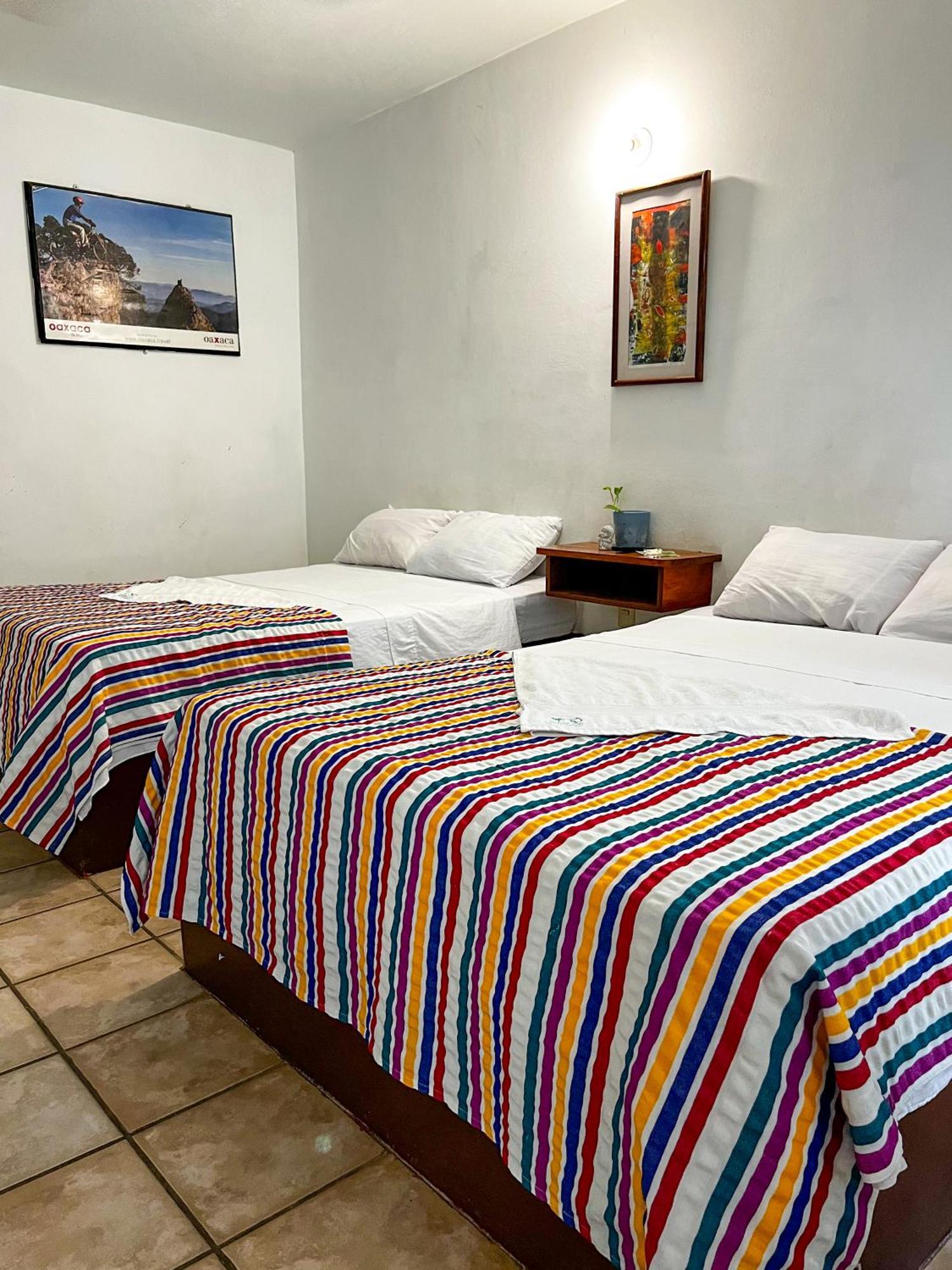 Hotel Om Downtown 산타크루즈휴에튤코 외부 사진